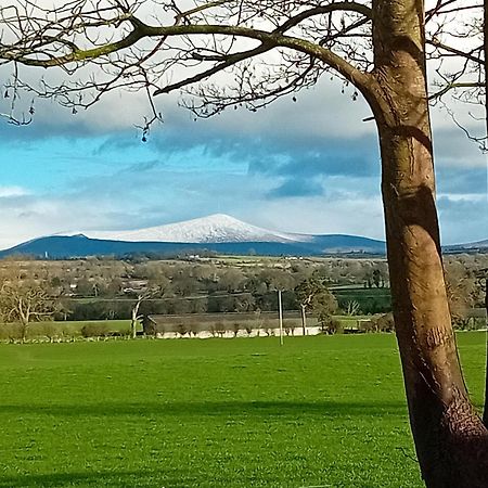 Fenniscourt Cottage Carlow Esterno foto
