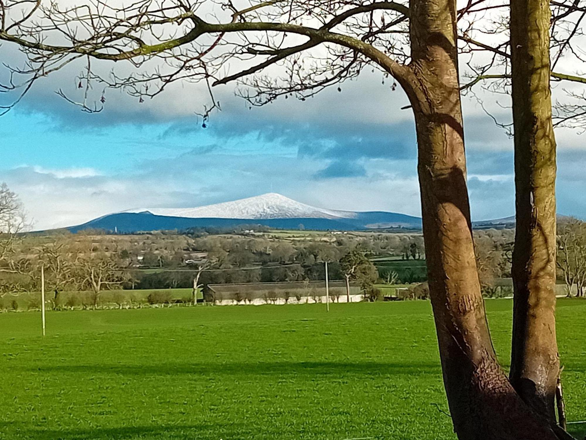 Fenniscourt Cottage Carlow Esterno foto