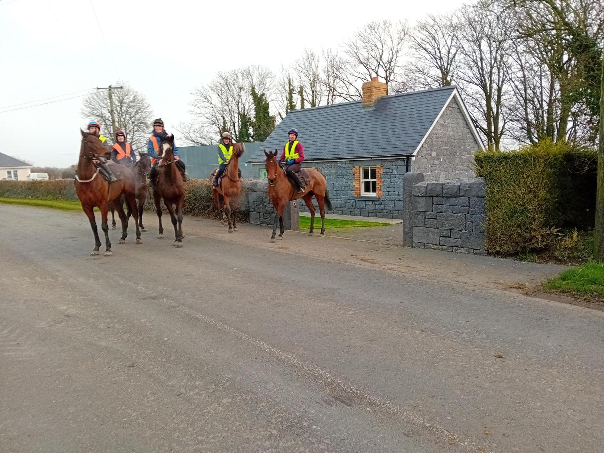 Fenniscourt Cottage Carlow Esterno foto